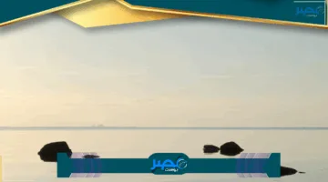 «بسرعة فائقة» طباعة صك إلكتروني من ناجز 1446 بسهولة تامة متاحة الآن